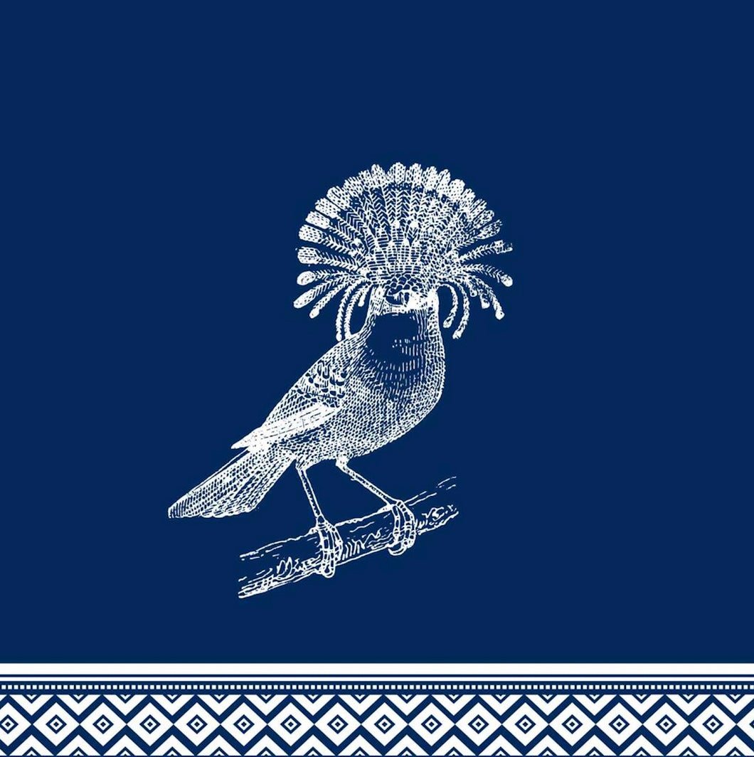 Cacatua Blue